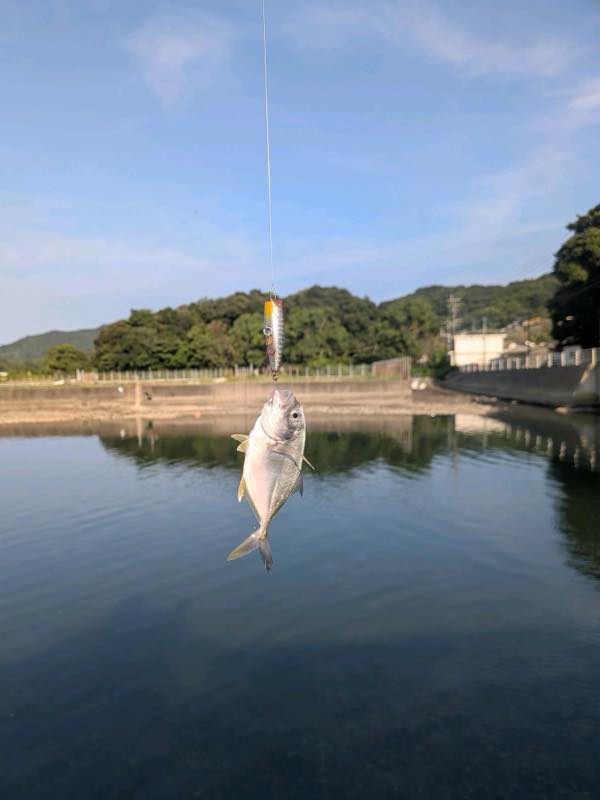 メッキ